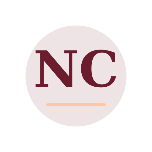 Noah Chimney Services logo